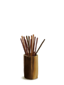 2025 